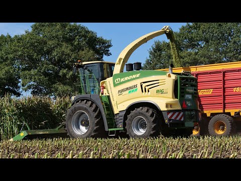 New Krone Big X 680 OptiMaize - Ploegmakers - Maize harvest - Mais hakselen - Maishäckseln - 2019