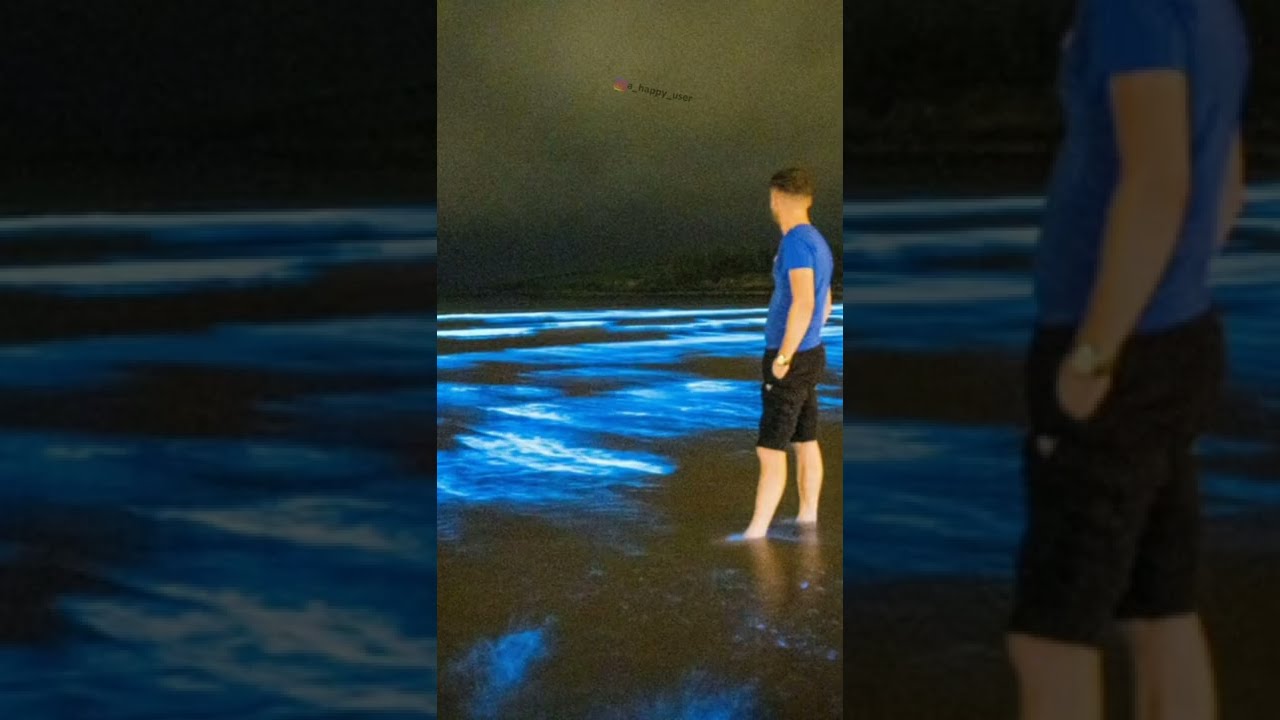 Sea of Stars - Vaadhoo Island, Maldives 