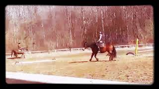 Jazda Konnoczyt.opis?