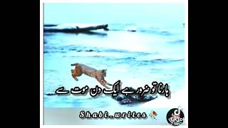 Tik Tok Snake Video Do Likee Shorts Videos