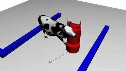 Planning in environments with deformable objects - Cow - 2008-2010