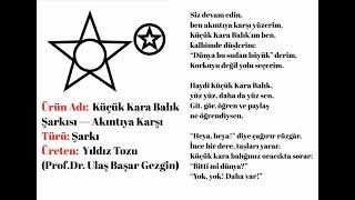 Küçük Kara Balık Şarkısı Akıntıya Karşı