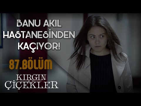 Banu akıl hastanesinden kaçıyor! - Kırgın Çiçekler 87.Bölüm