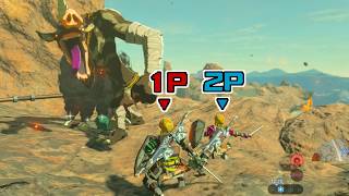 BOTW Co-op: Death Mountain