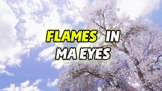 Squash - Flames In Ma Eyes (Lyrics) 