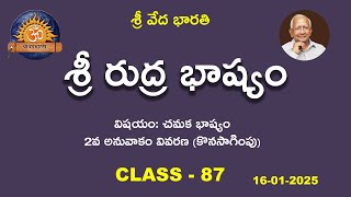 శ్రీ రుద్ర భాష్యం | Class - 87 | @shrivedabharathi3570