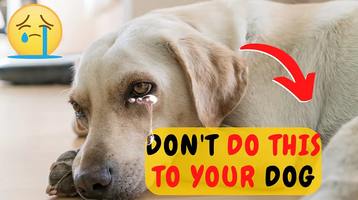 16 ATROCITIES THAT HURT YOUR DOG EMOTIONALLY - DayDayNews