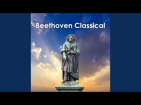 Beethoven: String Quartet No. 13 in B flat major, Op. 130 - 2. Presto
