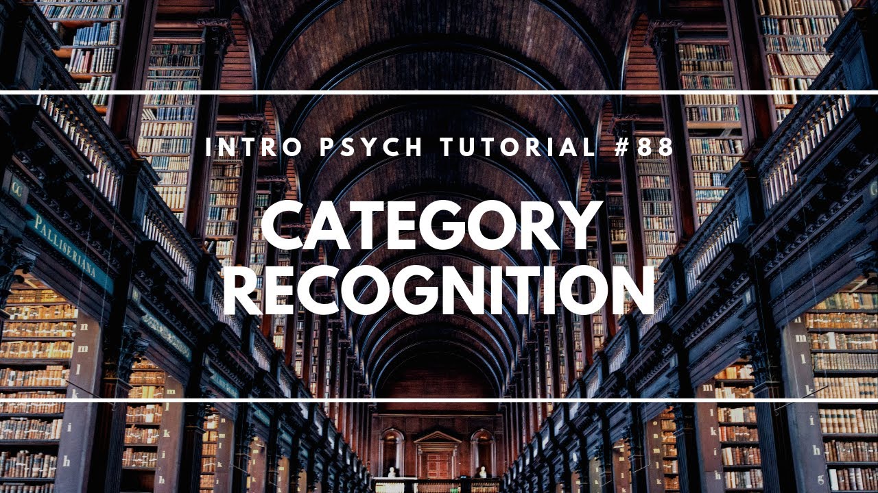 Category Recognition (Intro Psych Tutorial #88)