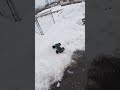 Mini XRT Takes To The Sky!!