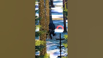 Why You Should NEVER Go AFK In DayZ