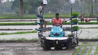 Kubota Rice Transplanter in MUD kubota SPV6MD model machine Planting in 6 Rows / Palleturi Village