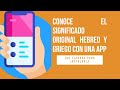 HEBREO Y GRIEGO ORIGINAL CON APP | #short #tutorial