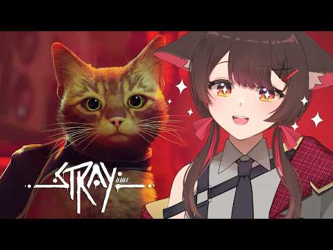 【游戲 | STRAY #1】小貓咪我來帶你回家（欸 | 马来西亚V |   #vtuber中文