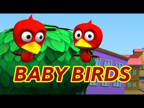 CGI Animated Short Film CG | Angry Birds Animation Short Film | Hanee TV