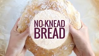 No Knead Bread