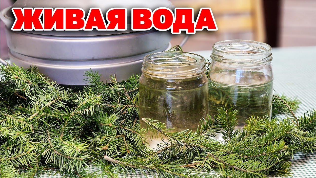 ЦЕЛЕБНАЯ ВОДА улучшит ИММУНИТЕТ ОМОЛАЖИВАЕТ ГИДРОЛАТОР ЕВА  аппарат для СЕМЬИ @obovsemsmarusya