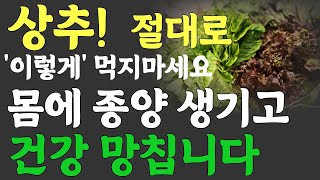 상추 절대 '이것'과 같이 먹지마세요! 상추효능과 부작용.이렇게 드시면 암,치매 얼씬 못합니다