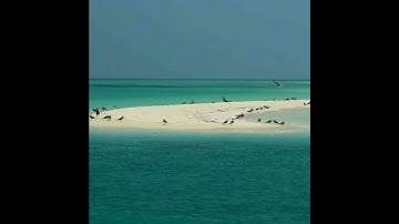 Eritrea: A Journey of Self-Reliance and Sustainable Development