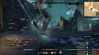 Chaosball Bug Number 729