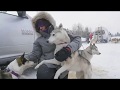 Sled dog Musher Documentary