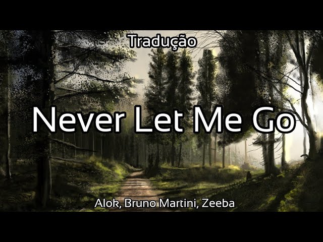 LET ME GO (TRADUÇÃO) - Alok 