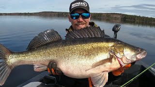 10KG + ZANDER WITH LOWRANCE ACTIVE TARGET!