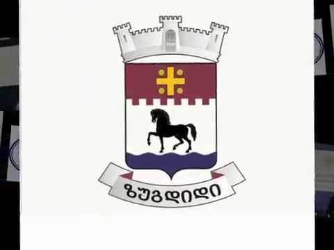 მუნიციპალიტეტის გამგეობის  მიერ 2015 წელს განხორციელებული პროექტები