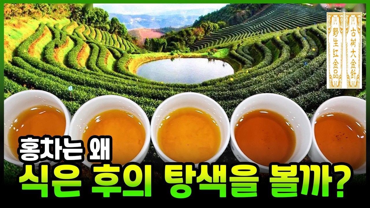 홍차는 왜 식은 후의 탕색을 볼까? 좋은 홍차 구별 방법 - YouTube