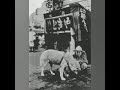 Hachiko S Story Hachiko S Story