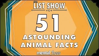 51 Amazing Animal Facts  mental_floss on YouTube  List Show (301)