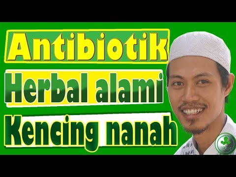obat-antibiotik-herbal-khusus-kencing-nanah-atau-gonore