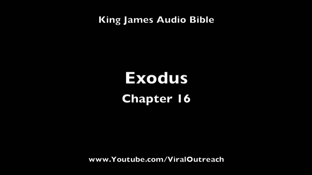Audio Bible Exodus Chapter 16 Youtube