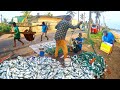 Superb attractive roadside fish market where fishermen sell their fresh catch