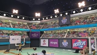Behind-the-scenes of the Kitten Bowl Taping