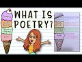 Understanding Poetry