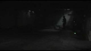 green laser sight 20mW