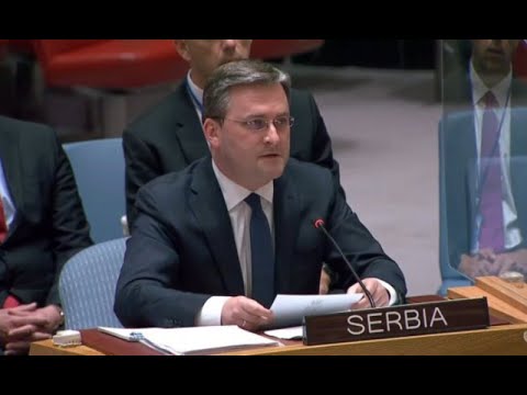 Селаковић: Србија се залаже за поштовање Резолуције 1244
