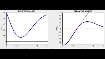 MAT341 (Computational Mathematics): Visualization of using Newton