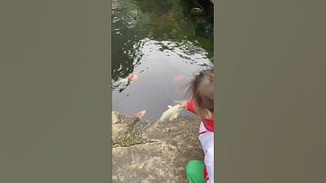 Bé chip bắt cá hàng xóm nấu canh #shortvideo