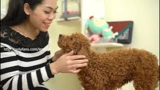 Yuri love dog #3