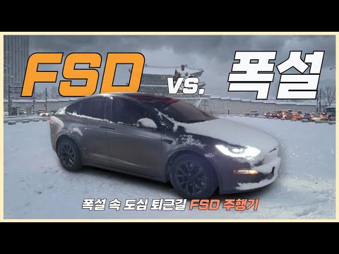 Will Tesla's FSD handle heavy snow? (feat. Model X)
