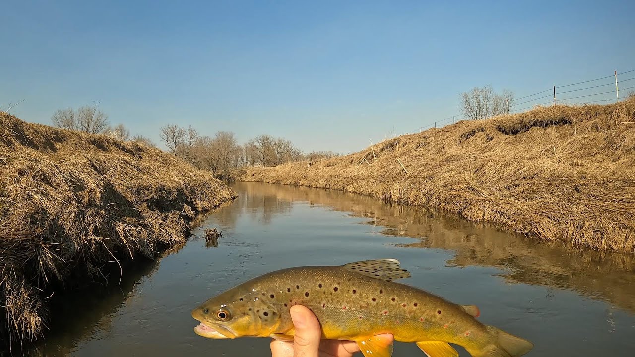 Wisconsin Trout Fishing 4/8/2023 YouTube