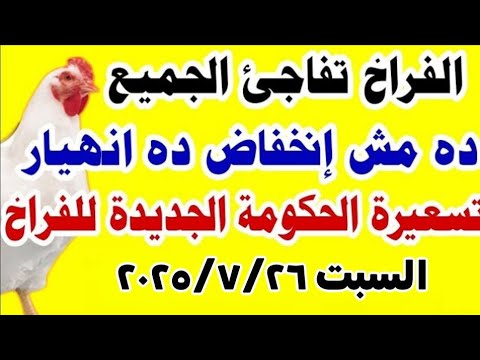 اسعار الفراخ البيضاء اليوم سعر الفراخ البيضاء اليوم السبت 2025 7 26 في مصر جمله وقطاعي