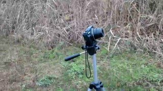 タイムラプス機能がないデジタルカメラでのタイムラプス撮影風景。カメラ【CANON PowerShot SX710HS】、三脚、スマホを使っています。