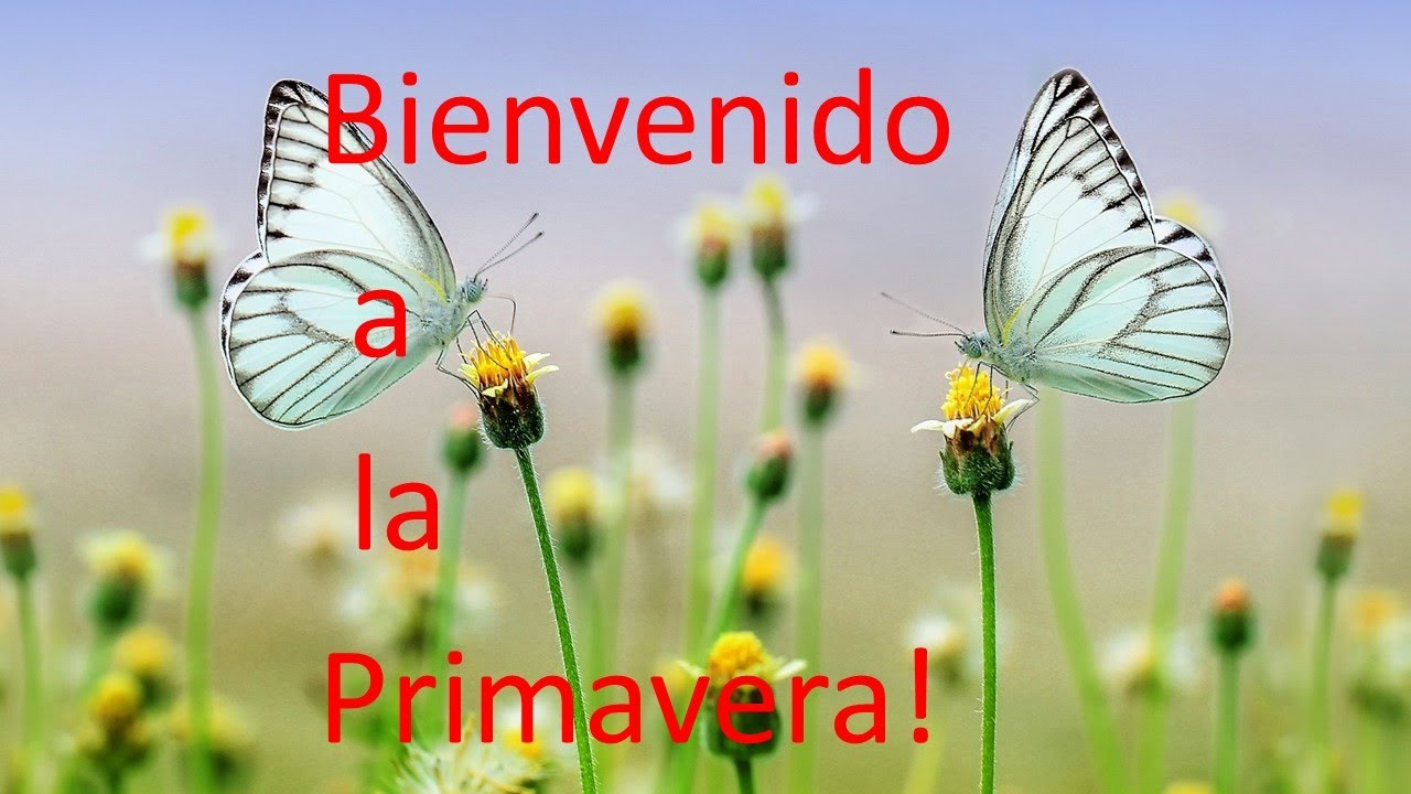 Bienvenido a la Primavera! 🌹🌹 😀😀 - YouTube