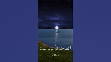 ٱللَّهُ وَلِيُّ ٱلَّذِينَ ءَامَنُواْ - تلاوه هادئه خاشعه - محمد ديبيروف 🎧🙂‍↕️