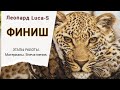 ФИНИШ/Леопард Luca-S/Впечатления/Вышивка крестом