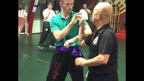 Grandmaster Henry Sue teaching Beginner Level Circular Tong Long Kung Fu