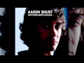 Aaron Shust - Matchless